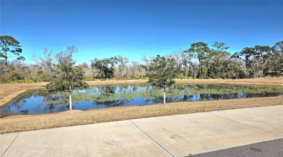 DAVENPORT, Florida 33837, 3 Bedrooms Bedrooms, ,2 BathroomsBathrooms,Residential,For Sale,PENGUIN,0,MFRO6421625