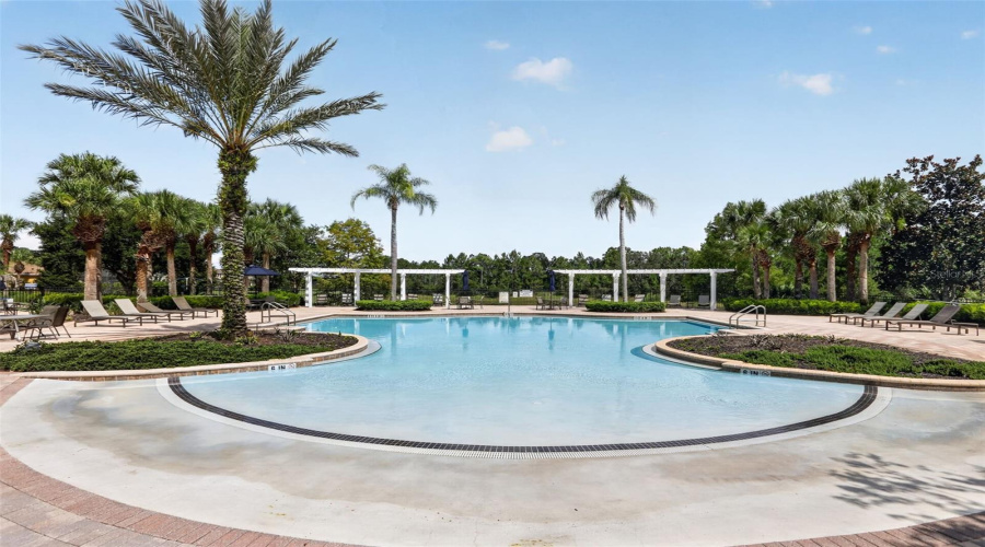 DAVENPORT, Florida 33837, 12 Bedrooms Bedrooms, ,11 BathroomsBathrooms,Residential,For Sale,BUTTERFLY ORCHID,0,MFRO6421680