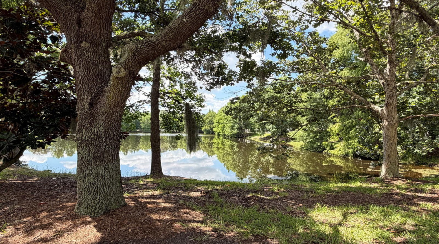CELEBRATION, Florida 34747, 3 Bedrooms Bedrooms, ,2 BathroomsBathrooms,Residential,For Sale,WATERSIDE,0,MFRS5153048