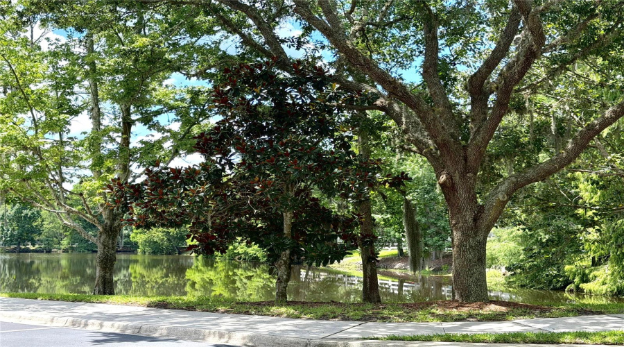 CELEBRATION, Florida 34747, 3 Bedrooms Bedrooms, ,2 BathroomsBathrooms,Residential,For Sale,WATERSIDE,0,MFRS5153048