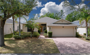 Property Search