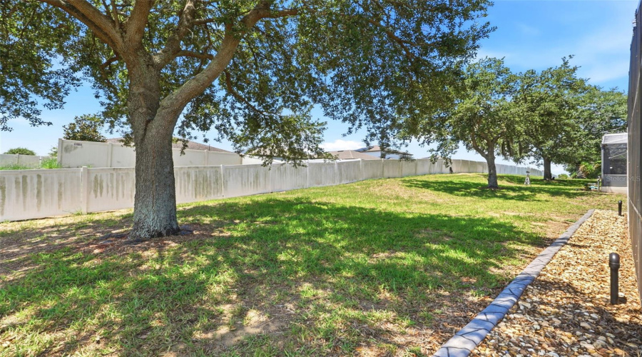 DAVENPORT, Florida 33837, 5 Bedrooms Bedrooms, ,3 BathroomsBathrooms,Residential,For Sale,CADIZ,0,MFRO6419944