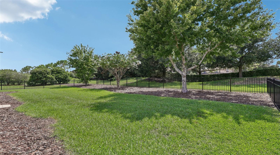 Large fenced yard