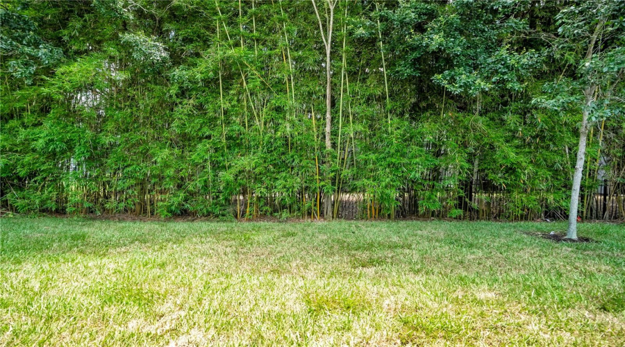 ORLANDO, Florida 32836, 4 Bedrooms Bedrooms, ,3 BathroomsBathrooms,Residential,For Sale,ROYAL CYPRESS,0,MFRO6423737