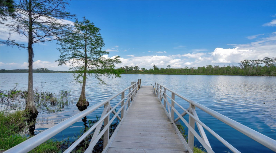 ORLANDO, Florida 32836, 4 Bedrooms Bedrooms, ,3 BathroomsBathrooms,Residential,For Sale,ROYAL CYPRESS,0,MFRO6423737
