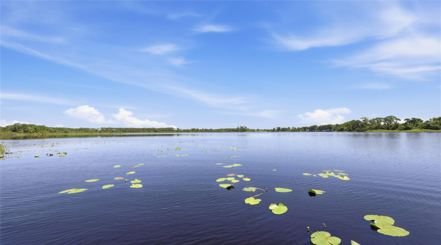 Private Community Access to South Lake