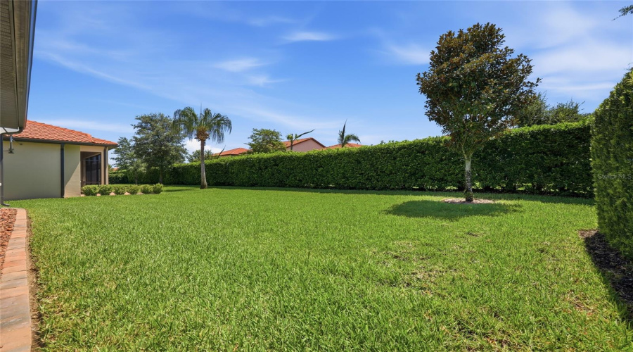 Backyard with Privacy, Mature Landscaping & Green Space