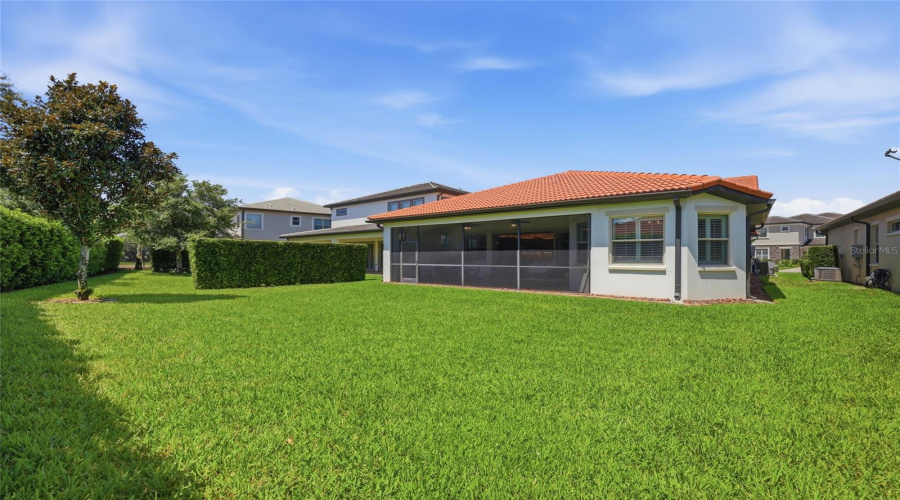 Backyard with Mature Landscaping & Green Space