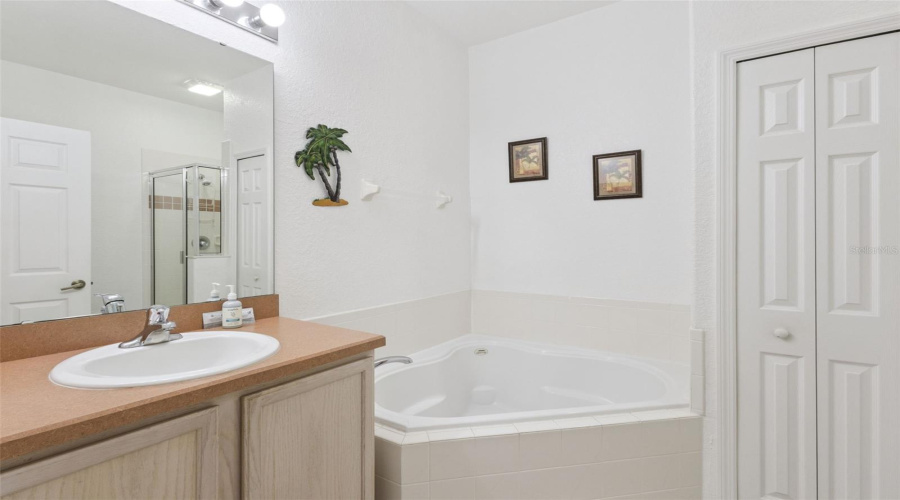 DAVENPORT, Florida 33837, 4 Bedrooms Bedrooms, ,3 BathroomsBathrooms,Residential,For Sale,VINE,0,MFRS5153667