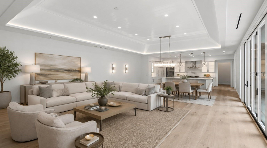 Virtually Staged- Living Area