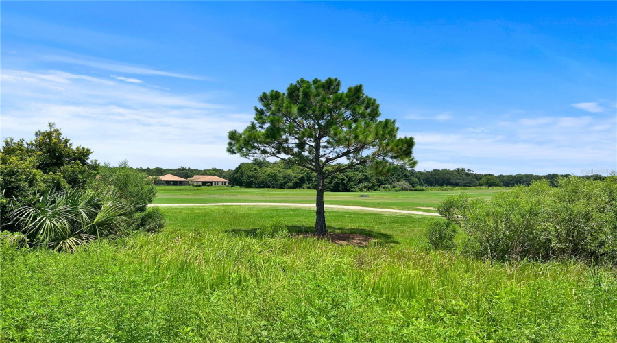 DAVENPORT, Florida 33837, 4 Bedrooms Bedrooms, ,3 BathroomsBathrooms,Residential,For Sale,BRENTWOOD,0,MFRTB8528055