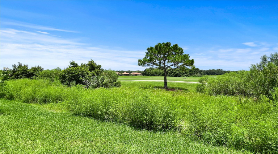 DAVENPORT, Florida 33837, 4 Bedrooms Bedrooms, ,3 BathroomsBathrooms,Residential,For Sale,BRENTWOOD,0,MFRTB8528055