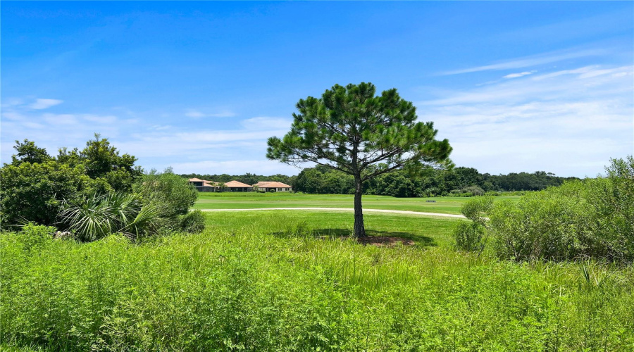 DAVENPORT, Florida 33837, 4 Bedrooms Bedrooms, ,3 BathroomsBathrooms,Residential,For Sale,BRENTWOOD,0,MFRTB8528055