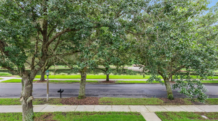 KISSIMMEE, Florida 34747, 3 Bedrooms Bedrooms, ,2 BathroomsBathrooms,Residential,For Sale,OLD BLUSH,0,MFRO6424077