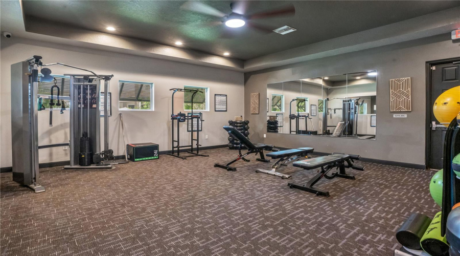 The Vistas Fitness Gym