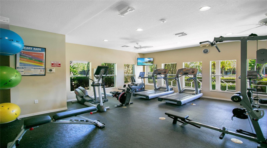 Oasis Club Fitness Gym