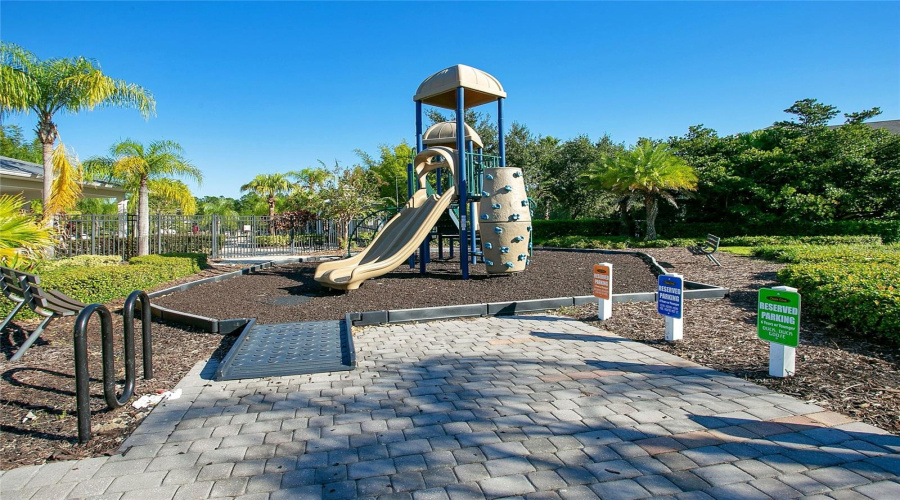 Oasis Club Playground