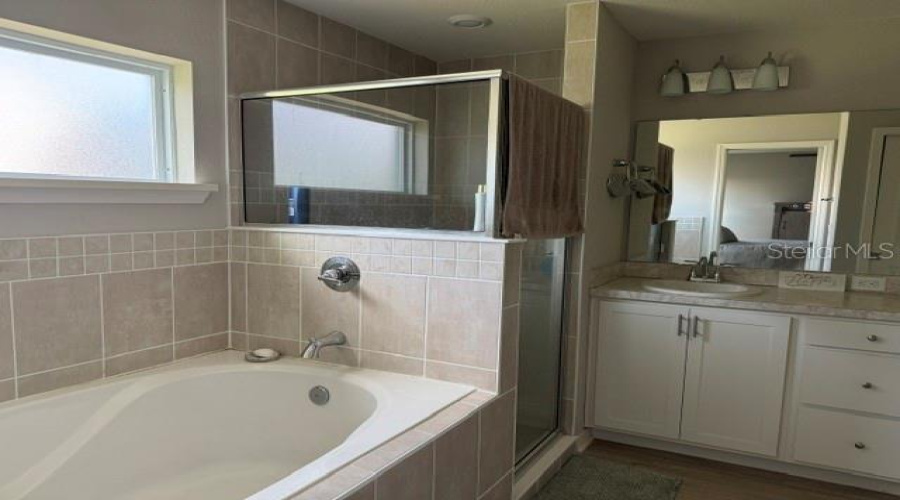 DAVENPORT, Florida 33837, 4 Bedrooms Bedrooms, ,2 BathroomsBathrooms,Residential,For Sale,FLEUR,0,MFRO6422872