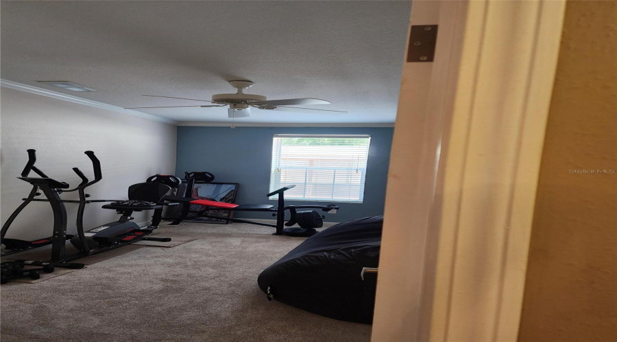 KISSIMMEE, Florida 34746, 5 Bedrooms Bedrooms, ,3 BathroomsBathrooms,Residential,For Sale,EVERGREEN,0,MFRO6426368