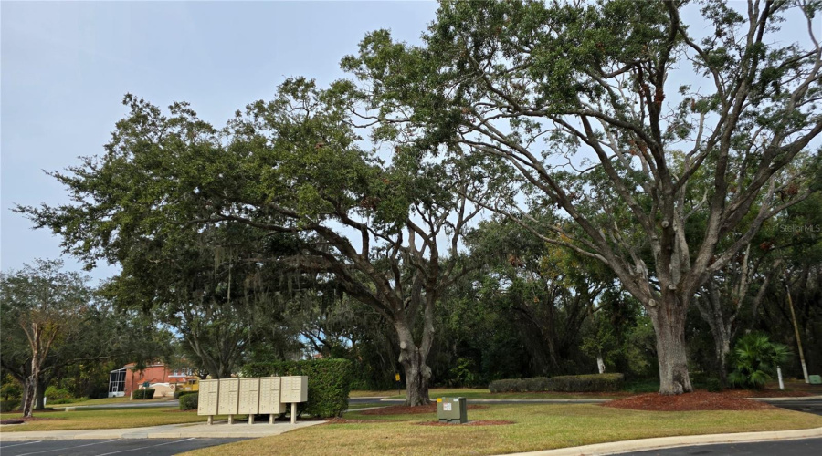 KISSIMMEE, Florida 34746, 4 Bedrooms Bedrooms, ,3 BathroomsBathrooms,Residential,For Sale,PARK RIDGE,0,MFRO6275327