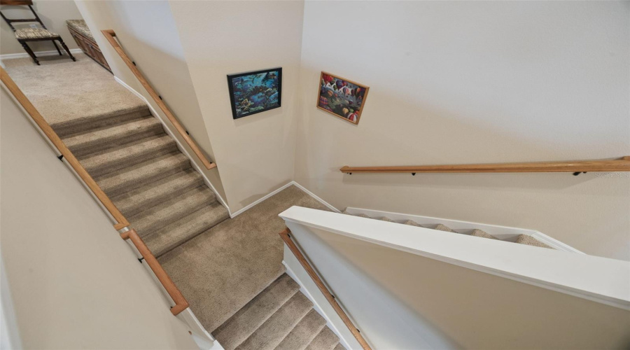 Split staircase, left goes to the primary ~ right goes to an additional 3 bedrooms and bonus room