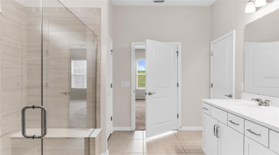 Owner's Bath