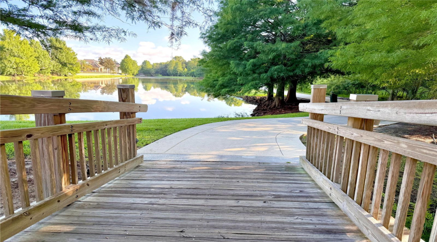 CELEBRATION, Florida 34747, 6 Bedrooms Bedrooms, ,4 BathroomsBathrooms,Residential,For Sale,OAK SHADOWS,0,MFRO6421489