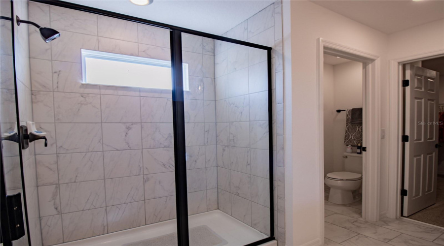 Primary Shower