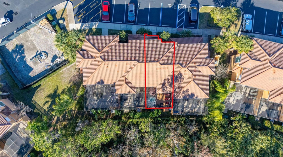 Drone View
