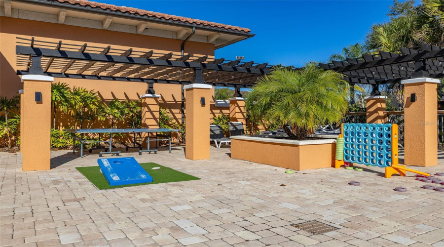 Play Area