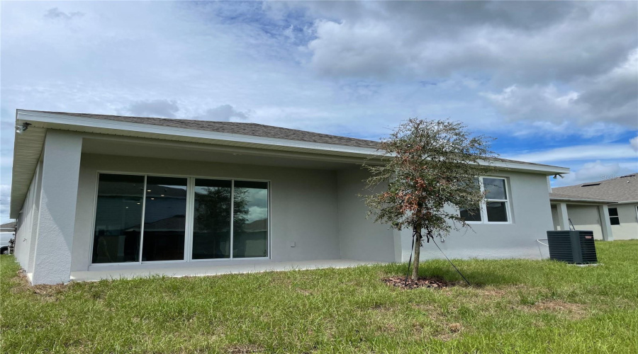 Exterior Back