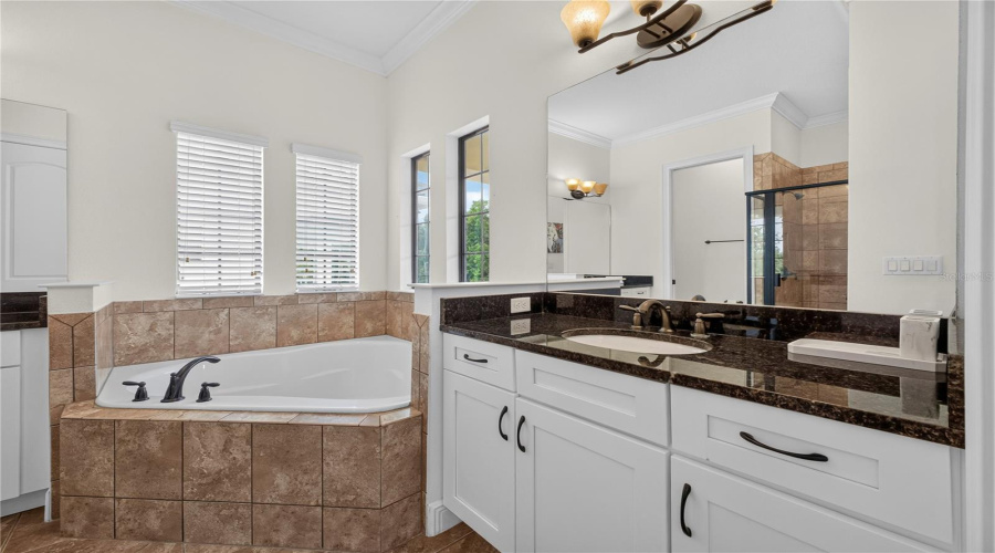 KISSIMMEE, Florida 34747, 5 Bedrooms Bedrooms, ,5 BathroomsBathrooms,Residential,For Sale,DESERT MOUNTAIN,0,MFRS5154192
