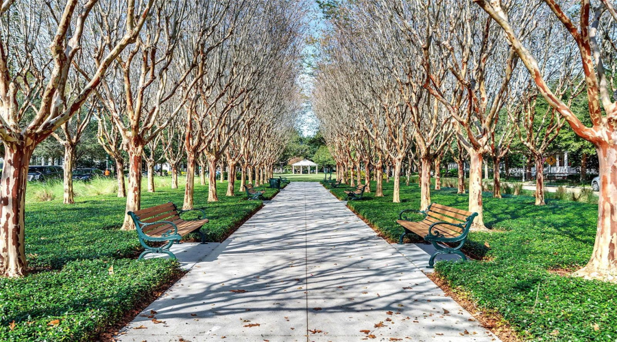 CELEBRATION, Florida 34747, 3 Bedrooms Bedrooms, ,2 BathroomsBathrooms,Residential,For Sale,BLUE SAGE,0,MFRO6429134
