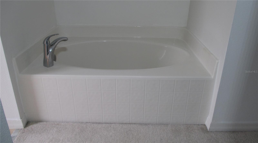 Master Bath Tub