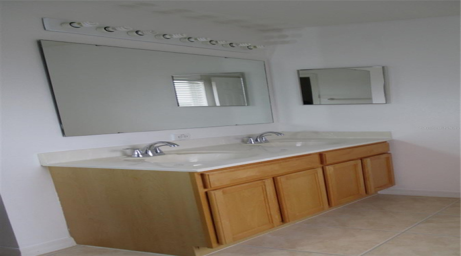 Master Double sink vanity