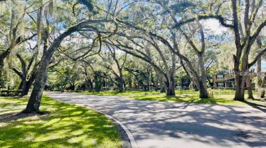 KISSIMMEE, Florida 34746, 4 Bedrooms Bedrooms, ,4 BathroomsBathrooms,Residential,For Sale,WOODBERRY,0,MFRTB8533058