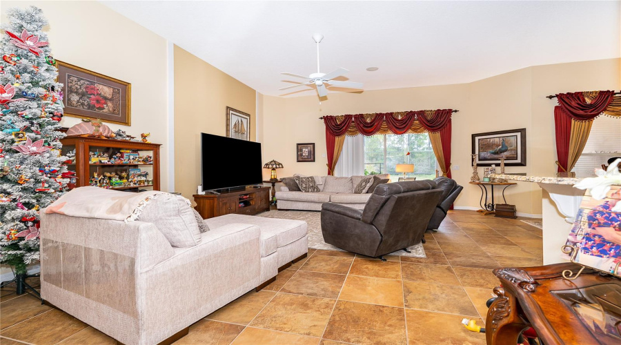 Living Room 3
