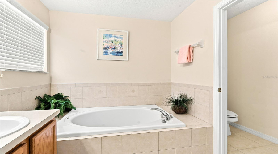 Soaker Tub, Double vanity, stand up shower, separate toilet room