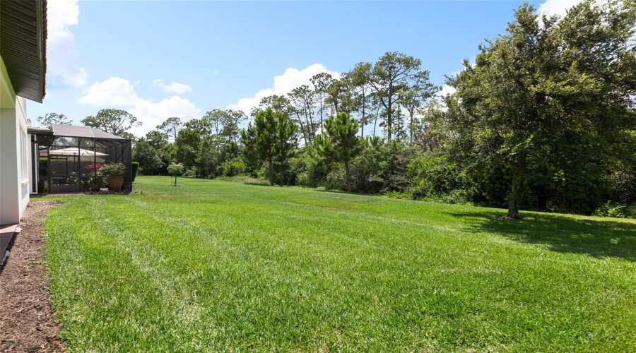 ORLANDO, Florida 32836, 5 Bedrooms Bedrooms, ,4 BathroomsBathrooms,Residential,For Sale,ROYAL CYPRESS,0,MFRO6380590