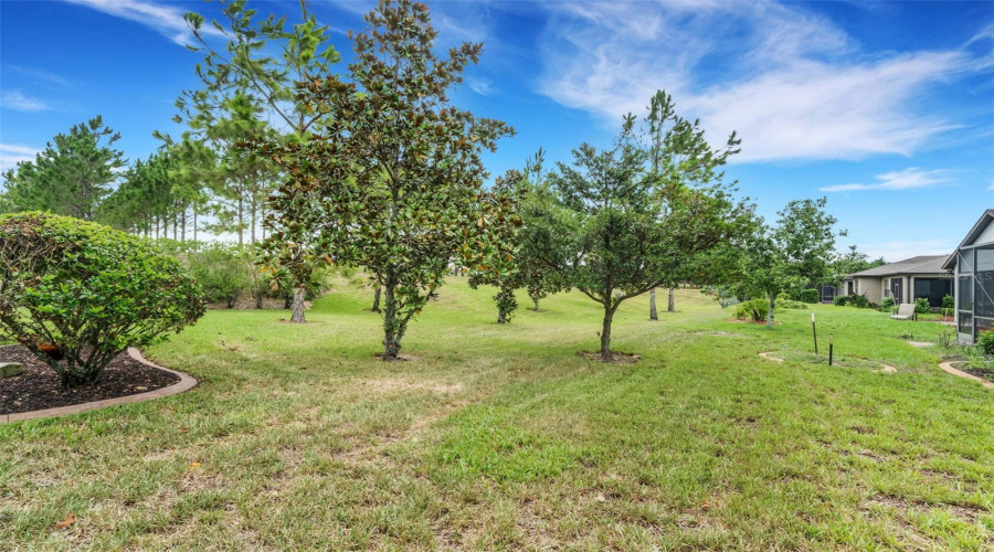 DAVENPORT, Florida 33837, 3 Bedrooms Bedrooms, ,2 BathroomsBathrooms,Residential,For Sale,CASTELLON,0,MFRS5154401