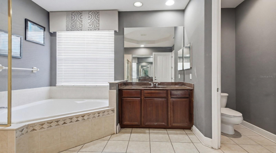 ORLANDO, Florida 32836, 4 Bedrooms Bedrooms, ,3 BathroomsBathrooms,Residential,For Sale,VIA BELLA NOTTE,0,MFRO6336248
