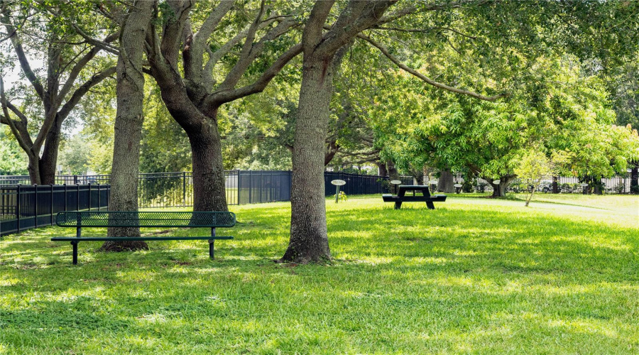 Dog Park 2 sections