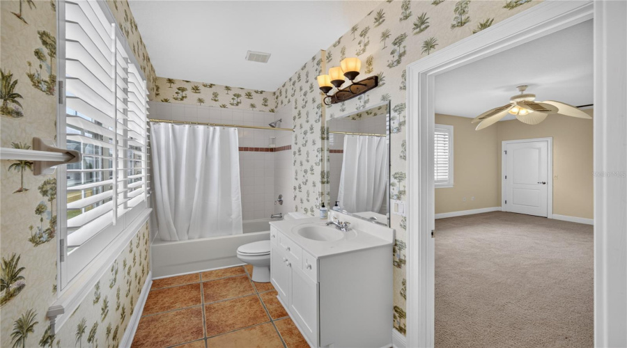 Mother In Law Suite Bathroom
