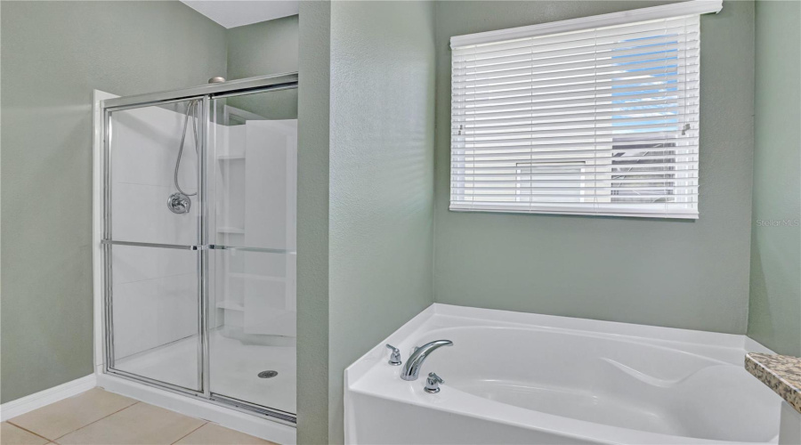 DAVENPORT, Florida 33837, 6 Bedrooms Bedrooms, ,5 BathroomsBathrooms,Residential,For Sale,WILDWOOD,0,MFRO6429926