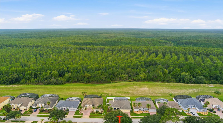 DAVENPORT, Florida 33897, 4 Bedrooms Bedrooms, ,3 BathroomsBathrooms,Residential,For Sale,BIRKDALE,0,MFRP4939465