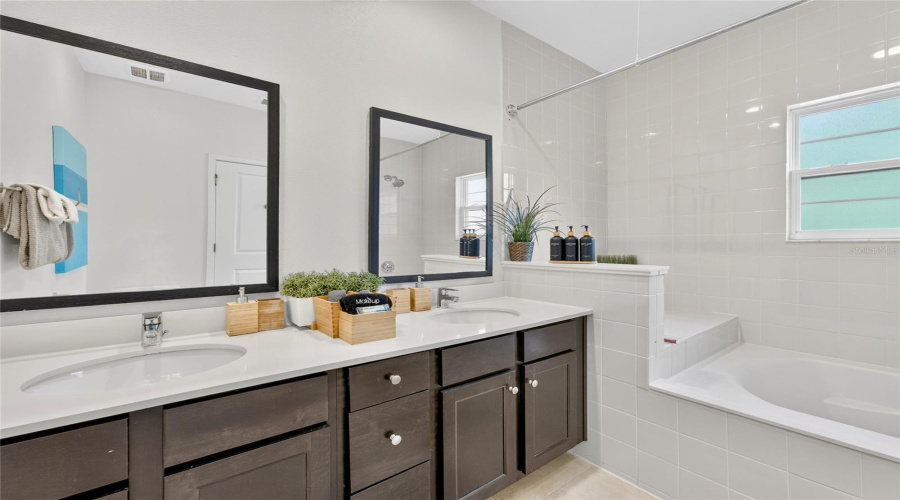 Owner's Bath