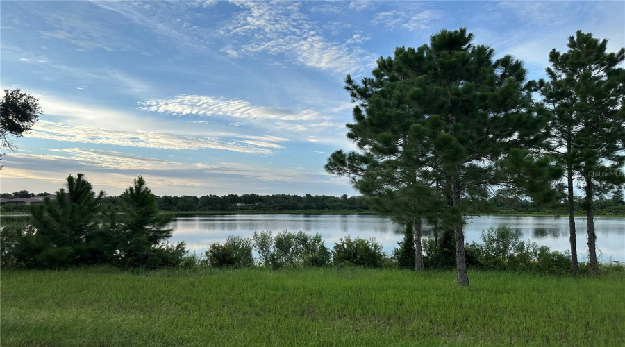 Lake view