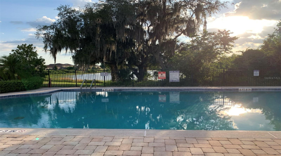 lake side villa swimming pool