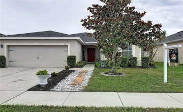 Property Search
