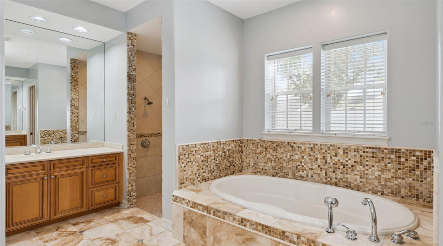 CELEBRATION, Florida 34747, 5 Bedrooms Bedrooms, ,4 BathroomsBathrooms,Residential,For Sale,SPRING PARK,0,MFRO6430602